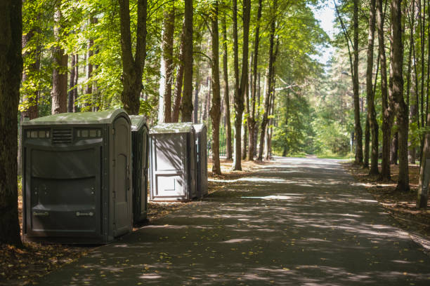 Best Local porta potty services  in New Fairview, TX